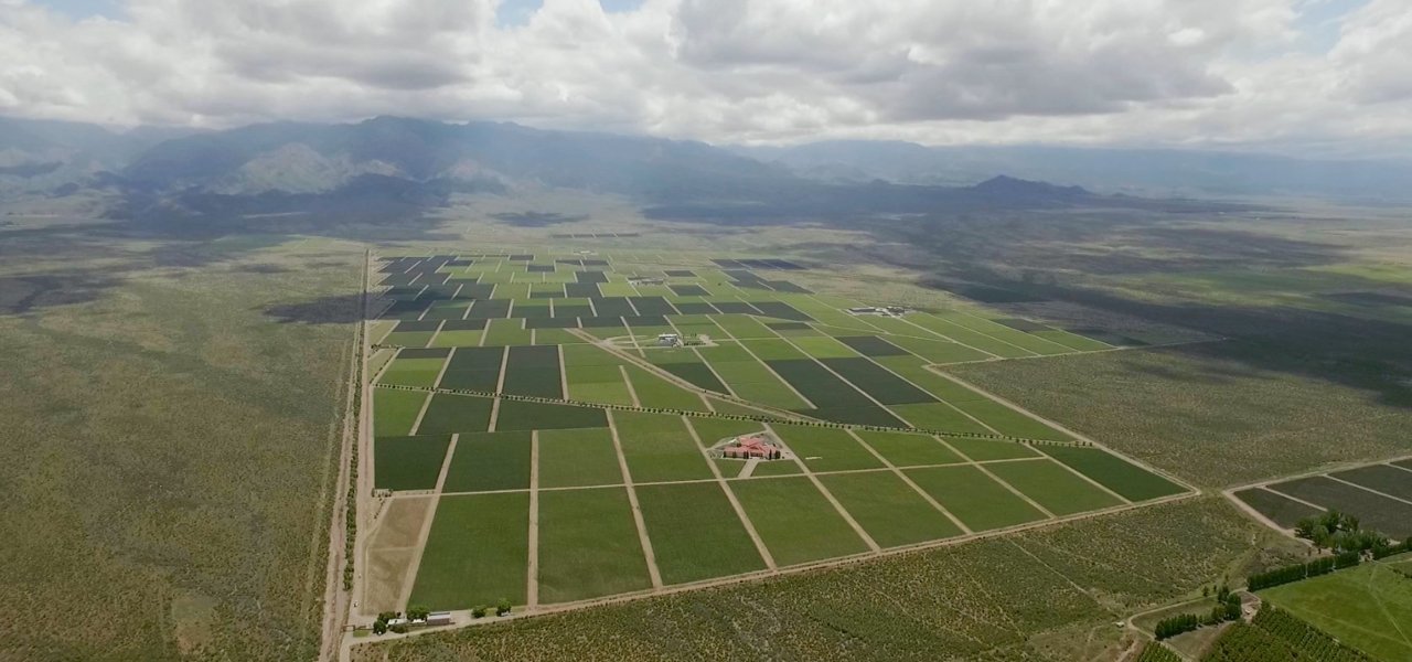 Bespoke Winery in Argentina - Wine Paths